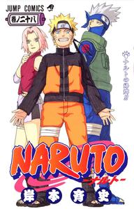 NARUTO 28 (MANGA VO JAPONAIS)