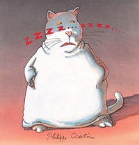 zzzz zzzz