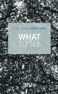What to see