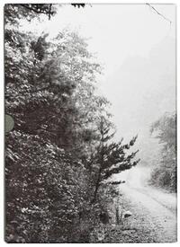 John Cage & William Gedney Iris Garden /anglais