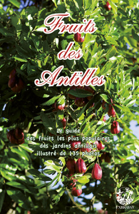 FRUITS DES ANTILLE
