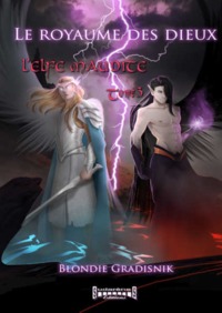 L'ELFE MAUDITE TOME 3 LE ROYAUME DES DIEUX