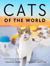 CATS OF THE WORLD /ANGLAIS