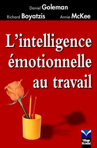 INTELLIGENCE EMOTIONNELLE AU TRAVAIL