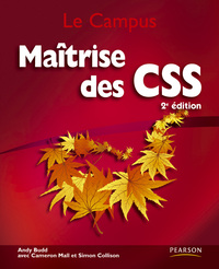 MAITRISE DES CSS