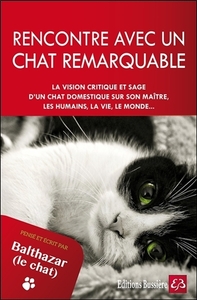 Rencontre avec un chat remarquable - Pensé et écrit par Balthazar le chat