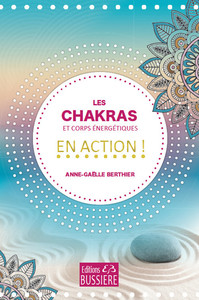 Les chakras et corps énergétiques en action !