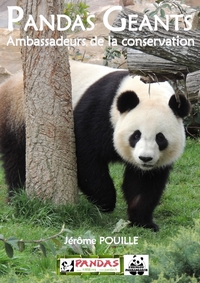 Pandas géants, ambassadeurs de la conservation