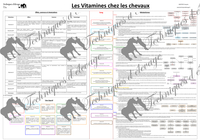 LES VITAMINES CHEZ LES CHEVAUX