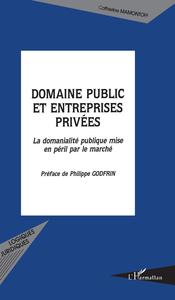 Domaine public et entreprises privées