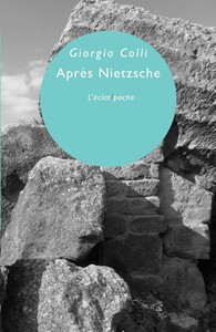 APRES NIETZSCHE