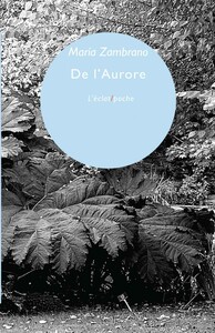 DE L'AURORE