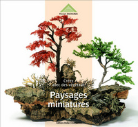 PAYSAGES MINIATURES-CREEZ AVEC DES  VEGETAUX