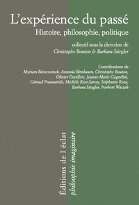 L'EXPERIENCE DU PASSE  - HISTOIRE, PHILOSOPHIE, POLITIQUE