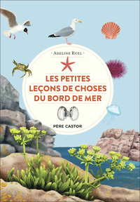 LES PETITES LECONS DE CHOSES DU BORD DE MER