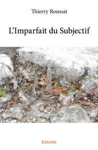L'Imparfait du Subjectif