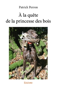 À la quête de la princesse des bois