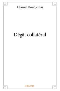 Dégât collatéral