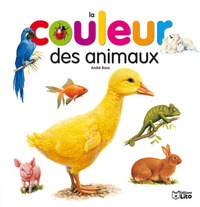 IMAGES ET MOTS : LA COULEUR