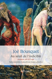 AU SEUIL DE L'INDICIBLE - JOURNAL DE LECTURE