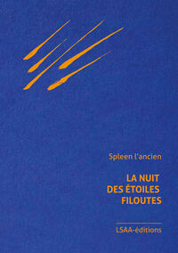 La nuit des étoiles filoutes