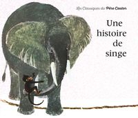 UNE HISTOIRE DE SINGE - ILLUSTRATIONS, COULEUR