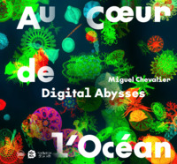 Digital Abysses. Miguel Chevalier