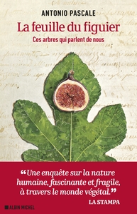 LA FEUILLE DU FIGUIER - CES ARBRES QUI PARLENT DE NOUS