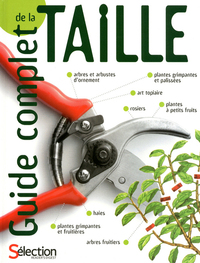 Guide complet de la taille