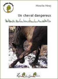 UN CHEVAL DANGEREUX