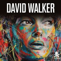 DAVID WALKER - BEAUTIFUL CHAOS - OPUS DELITS 47