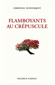 FLAMBOYANTS AU CREPUSCULE