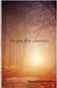 Ne pas dire "jamais"