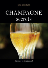 Champagne Secrets : the must-have book for champagne lovers