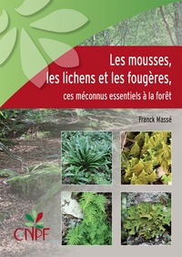 LES MOUSSES, LES LICHENS ET LES FOUGERES, CES MECONNUS ESSENTIELS A LA FORET