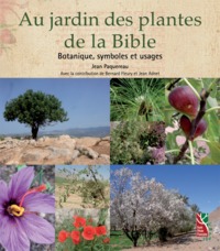 Au jardin des plantes de la Bible botanique, symboles et usages