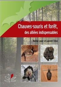 CHAUVES-SOURIS ET FORET - DES ALLIEES INDISPENSABLES