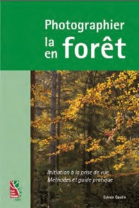 PHOTOGRAPHIER LA FORET  PHOTOGRAPHIER EN FORET