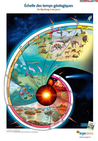 ECHELLE DES TEMPS GEOLOGIQUES 3POSTERS-EVOL.DES VERTEBRES/INVERT.