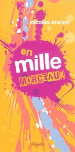 En mille morceaux roman