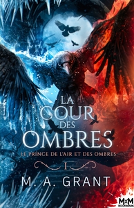 LA COUR DES OMBRES - T01 - LE PRINCE DE L'AIR ET DES OMBRES - LA COUR DES OMBRES, T1