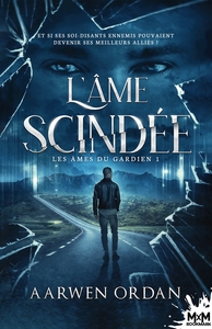 LES AMES DU GARDIEN - T01 - L'AME SCINDEE - LES AMES DU GARDIEN, T1