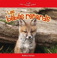 LES BEBES RENARDS