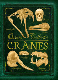 OSSUM COLLECTIO CRANES