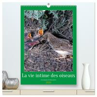 La vie intime des oiseaux Les oiseaux et leurs petits  (Calendrier mural 2026 DIN A2 horizontal) calendrier de bureau