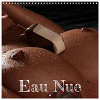 EAU NUE (CALENDRIER MURAL CARRE 2026 30X30 CM) CALENDRIER DOUBLE AVEC UNE PAGE POUR VOS PRISES DE NO