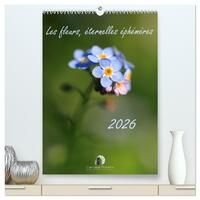 Les fleurs, éternelles éphemères  (Calendrier mural 2026 DIN A2 horizontal) calendrier de bureau