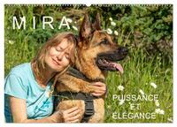 MIRA - PUISSANCE ET ELEGANCE (CALENDRIER MURAL 2026 DIN A2 VERTICAL), CALVENDO CALENDRIER MENSUEL -