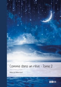 COMME DANS UN REVE - TOME 2