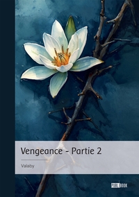 Vengeance - Partie 2